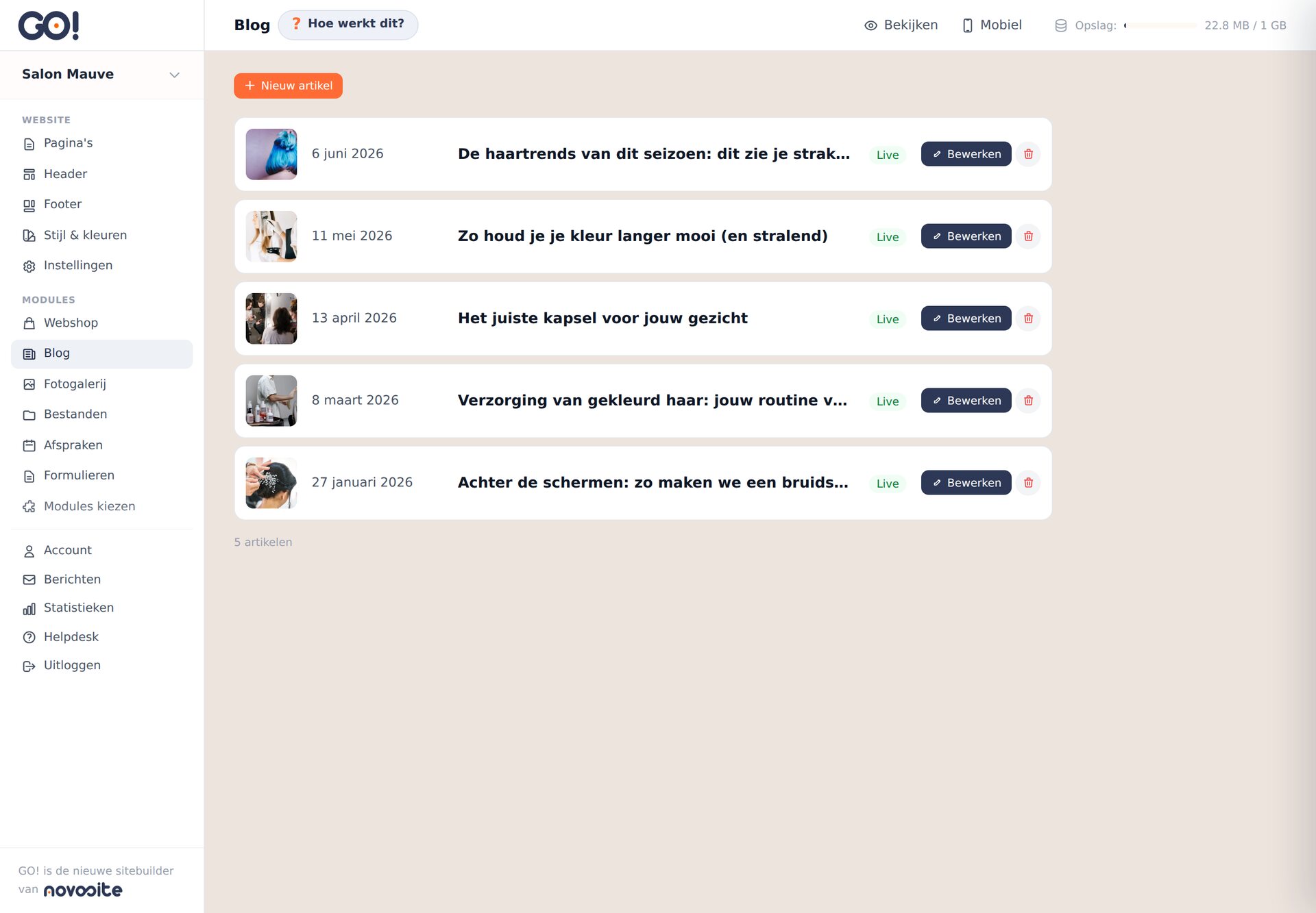Het overzicht van blogartikelen