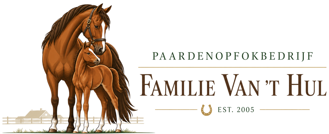 Paardenopfokbedrijf familie Van 't Hul