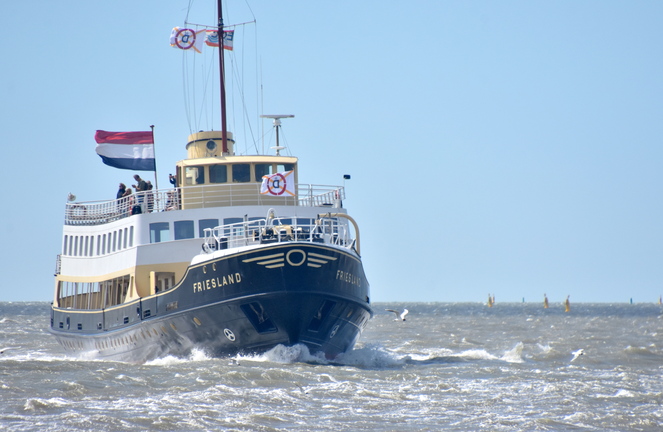 ms Friesland