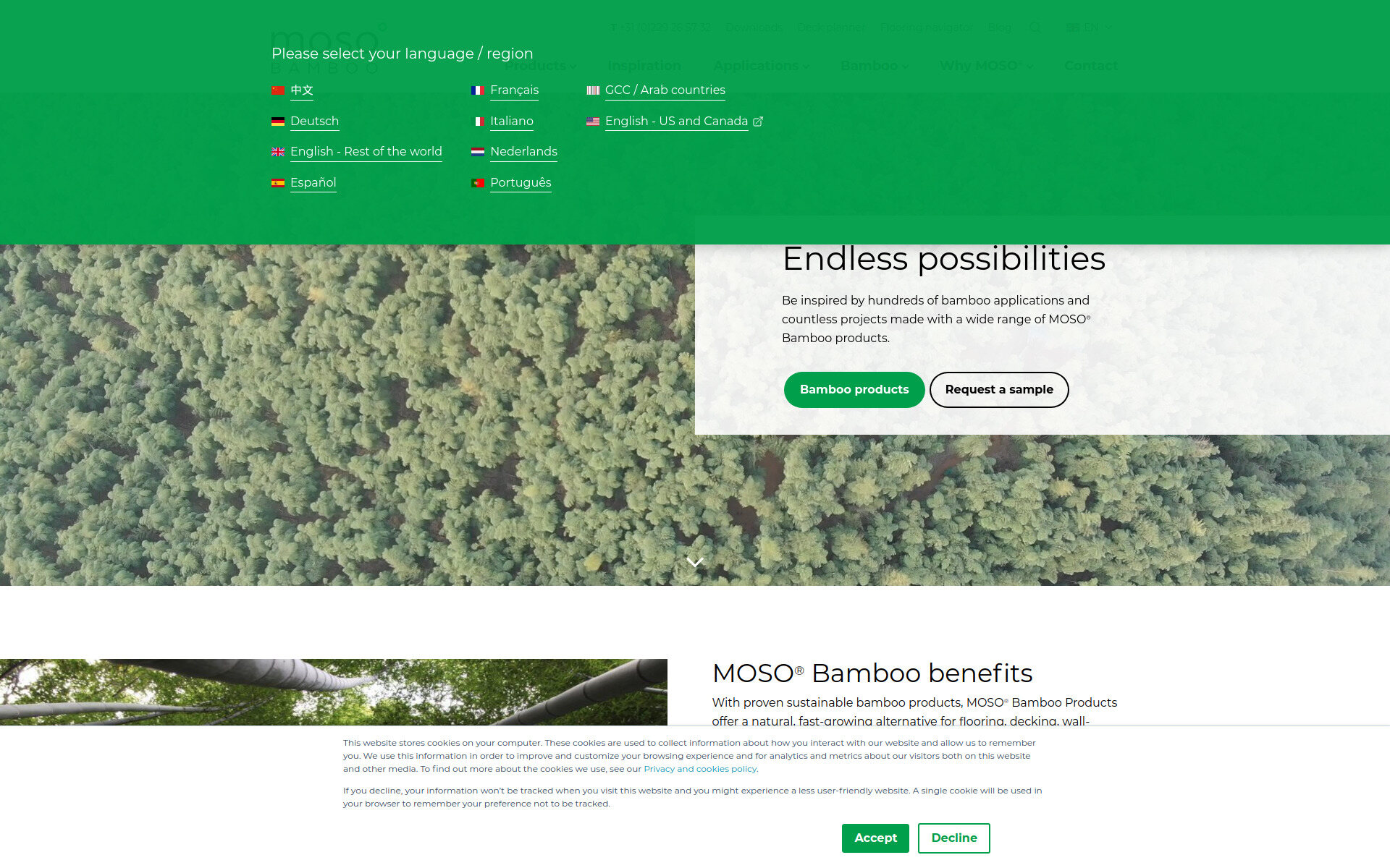 Moso Bamboo