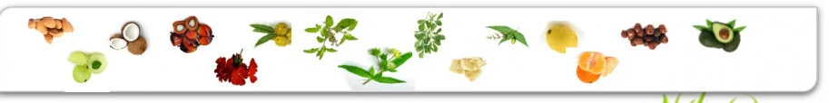 Geranium body- en haarshampoo
