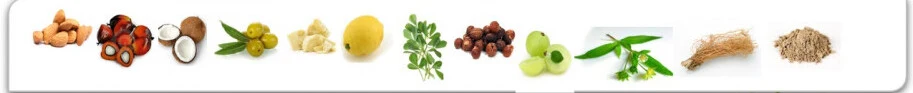 Dennen body- en haarshampoo