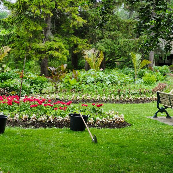 Een tuin in beeld: van saai naar groen paradijs