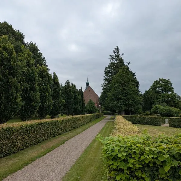 Onderhoud & beplanting — foto 6