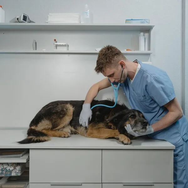 Een kijkje in de kliniek — foto 1