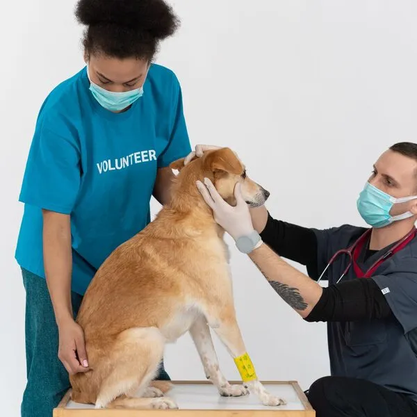 Een kijkje in de kliniek — foto 3