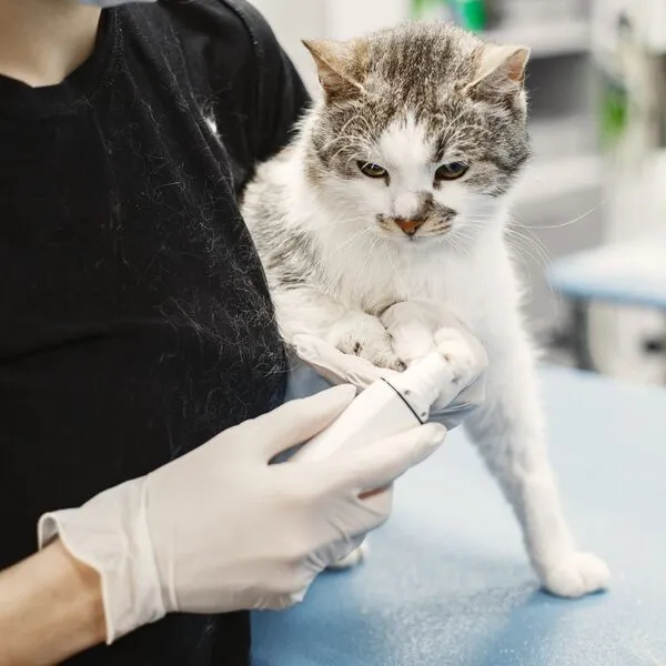 Een kijkje in de kliniek — foto 5