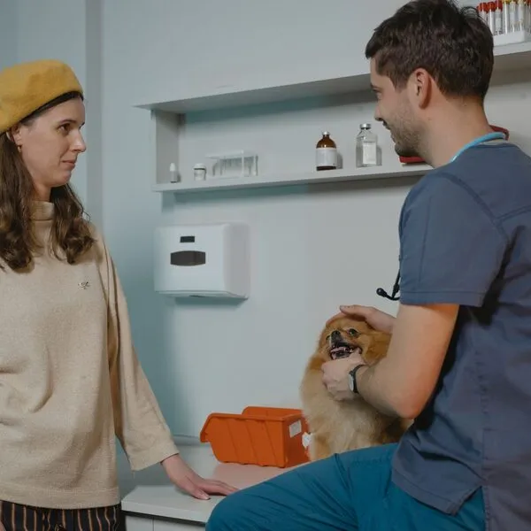Een kijkje in de kliniek — foto 4