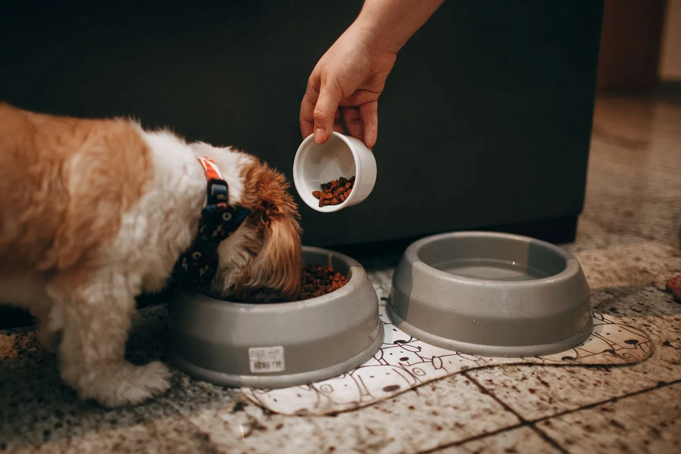 VitaPet Natvoer Hond Rund & Groente
