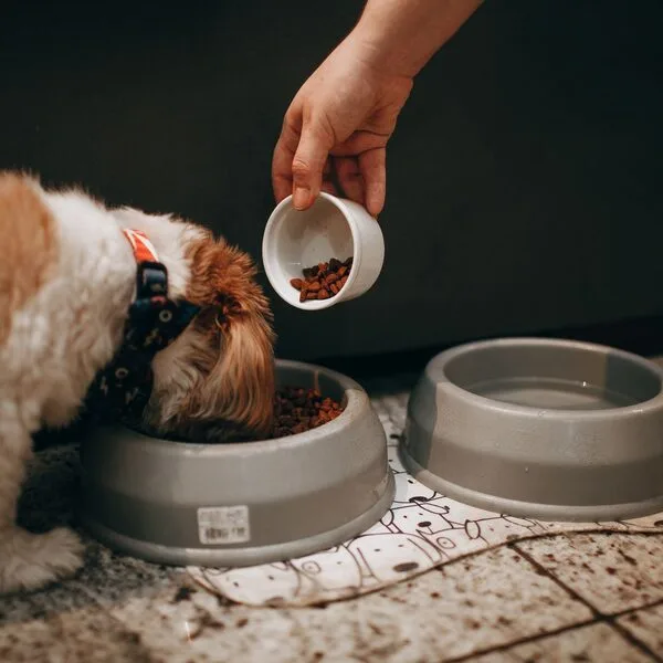 VitaPet Natvoer Hond Rund & Groente