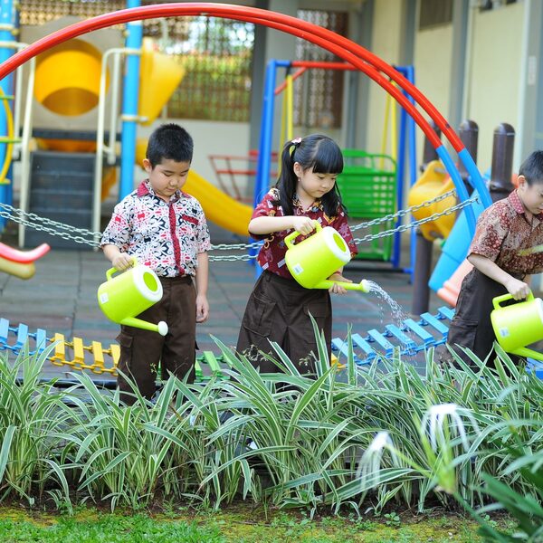 Onze nieuwe schooltuin staat in bloei
