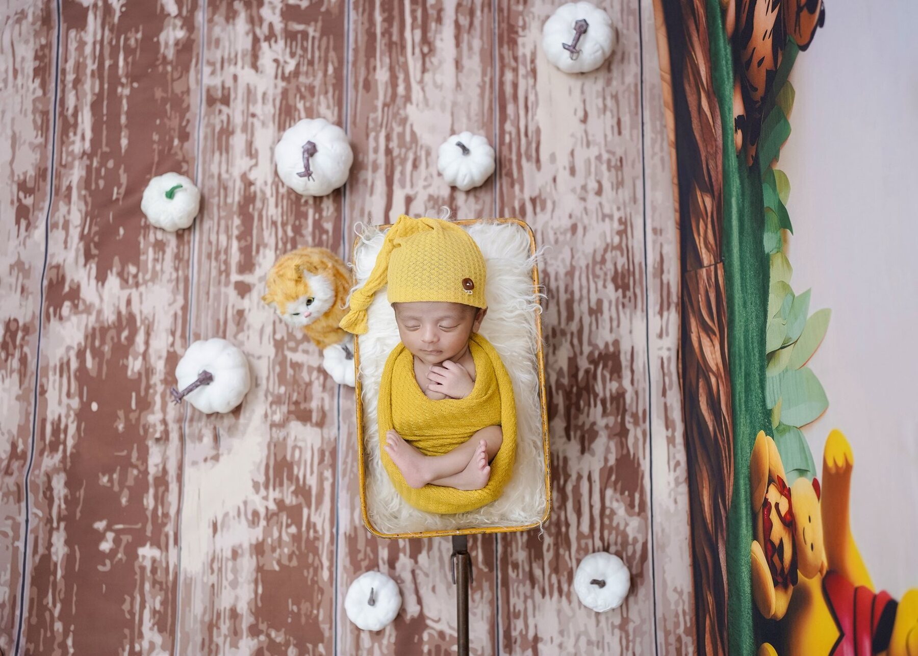 Een newborn-sessie van dichtbij